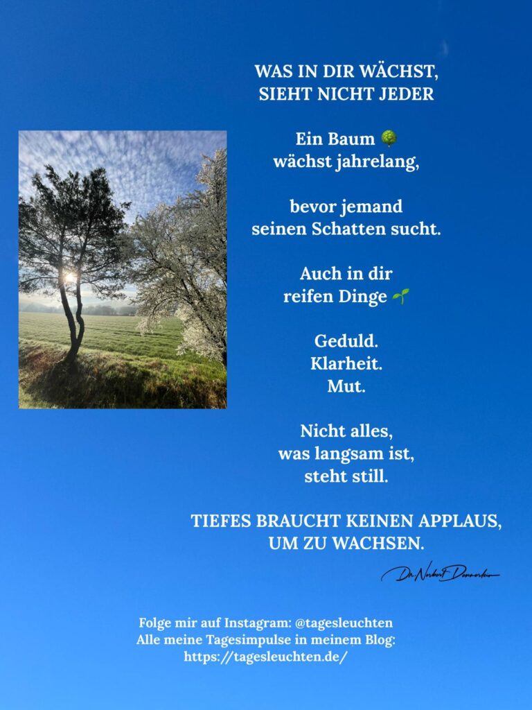 WAS IN DIR WÄCHST, SIEHT NICHT JEDER. Ein Baum wächst jahrelang, bevor jemand seinen Schatten sucht