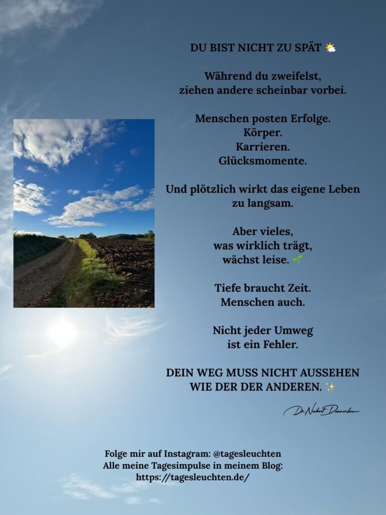 Dr. Norbert Dennerlein: DU BIST NICHT ZU SPÄT. Während du zweifelst, ziehen andere scheinbar vorbei