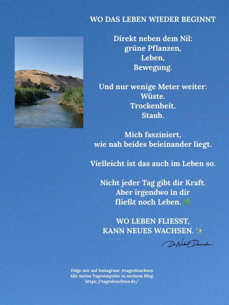 Dr. Norbert Dennerlein: WO DAS LEBEN WIEDER BEGINNT. Direkt neben dem Nil: grüne Pflanzen, Leben, Bewegung.