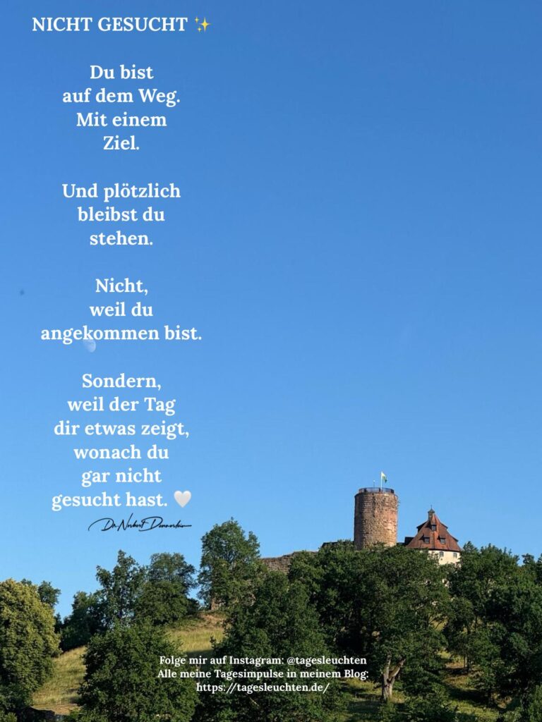 Dr. Norbert Dennerlein: NICHT GESUCHT. Du bist auf dem Weg. Mit einem Ziel