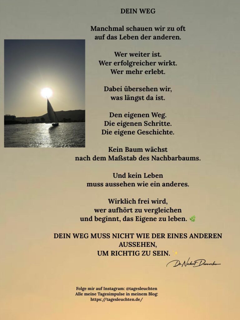 Dr. Norbert Dennerlein: DEIN WEG. Manchmal schauen wir zu oft auf das Leben der anderen