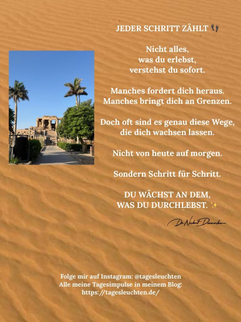 Dr. Norbert Dennerlein: JEDER SCHRITT ZÄHLT. Nicht alles, was du erlebst, verstehst du sofort