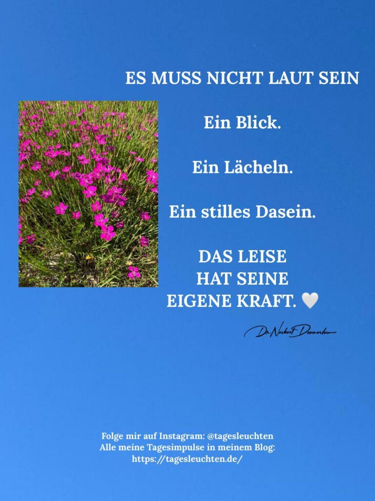 Dr. Norbert Dennerlein: ES MUSS NICHT LAUT SEIN. Ein Blick. Ein Lächeln. Ein stilles Da sein