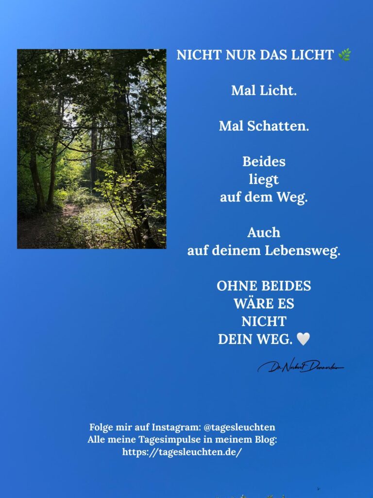 Dr. Norbert Dennerlein: NICHT NUR DAS LICHT. Mal Licht. Mal Schatten.