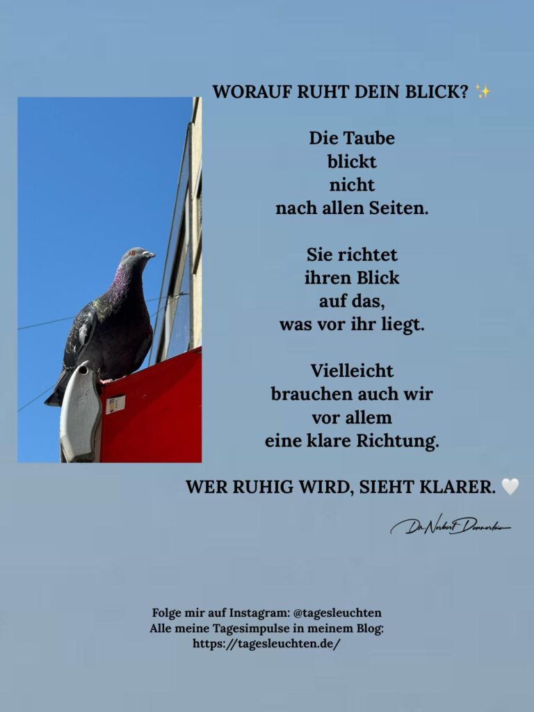 Dr. Norbert Dennerlein: WORAUF RUHT DEIN BLICK? Die Taube blickt nicht nach allen Seiten