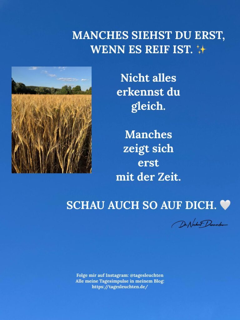 Dr. Norbert Dennerlein: MANCHES SIEHST DU ERST, WENN ES REIF IST. Nicht alles erkennst du gleich