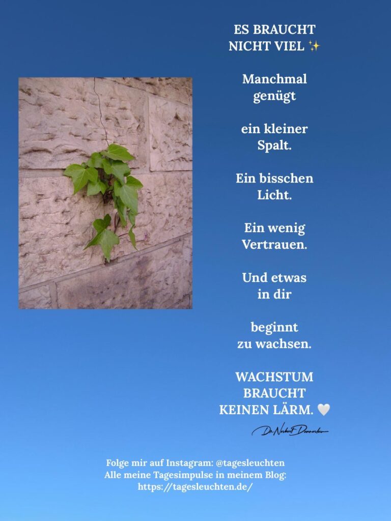 Dr. Norbert Dennerlein: ES BRAUCHT NICHT VIEL. Manchmal genügt ein kleiner Spalt