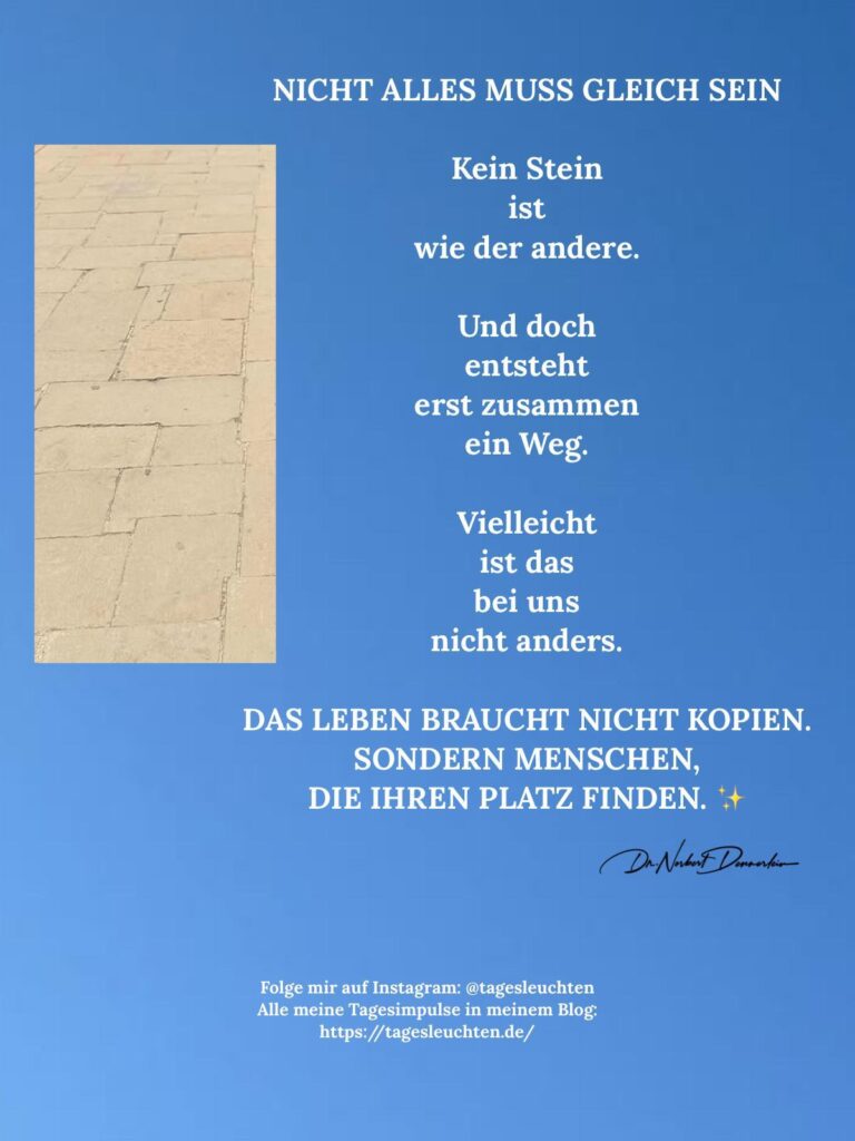 Dr. Norbert Dennerlein: NICHT ALLES MUSS GLEICH SEIN. Kein Stein ist wie der andere