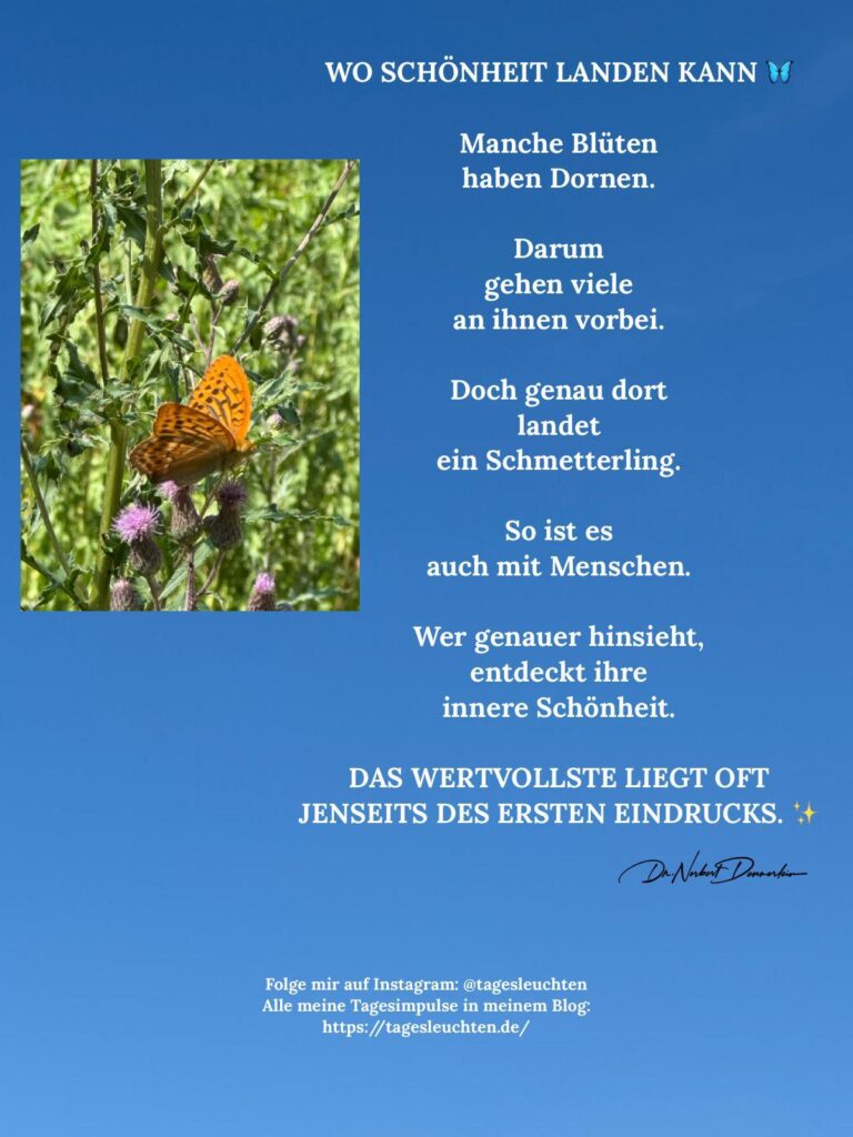 Dr. Norbert Dennerlein: WO SCHÖNHEIT LANDEN KANN. Manche Blüten haben Dornen