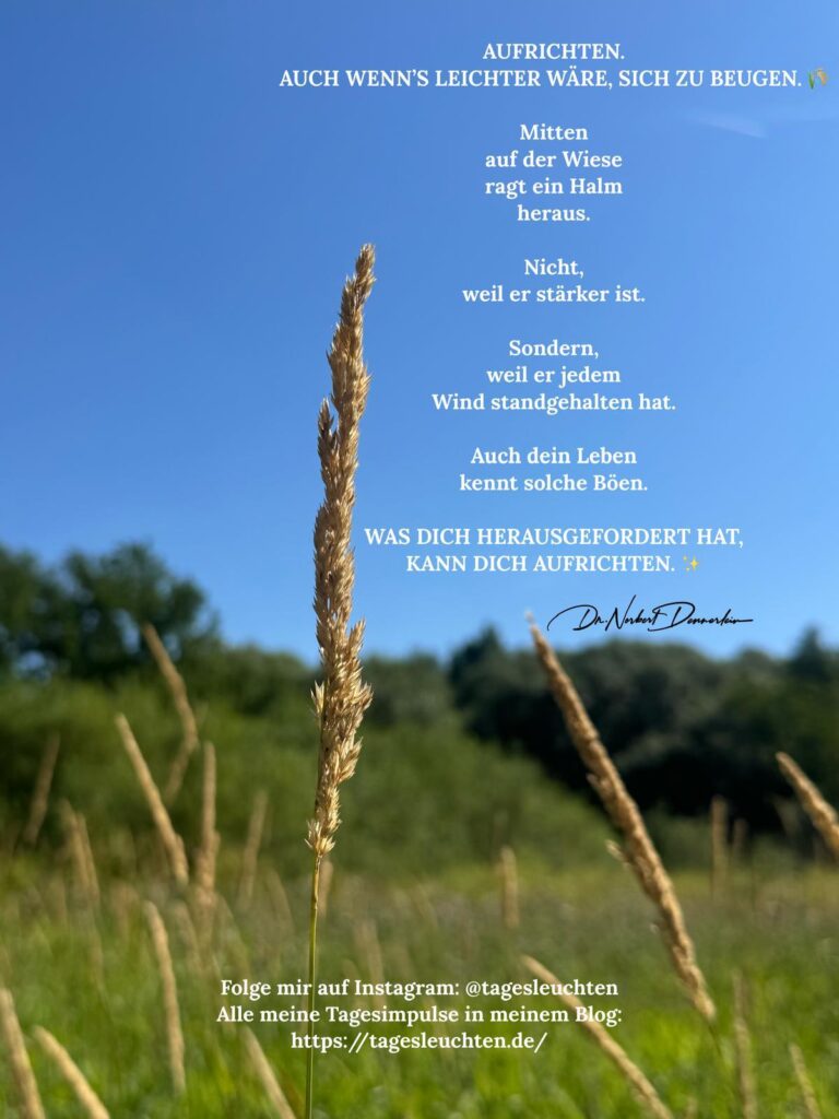 Dr. Norbert Dennerlein: AUFRICHTEN, AUCH WENN‘S LEICHTER WÄRE, SICH ZU BEUGEN. Mitten auf der Wiese ragt ein Halm heraus