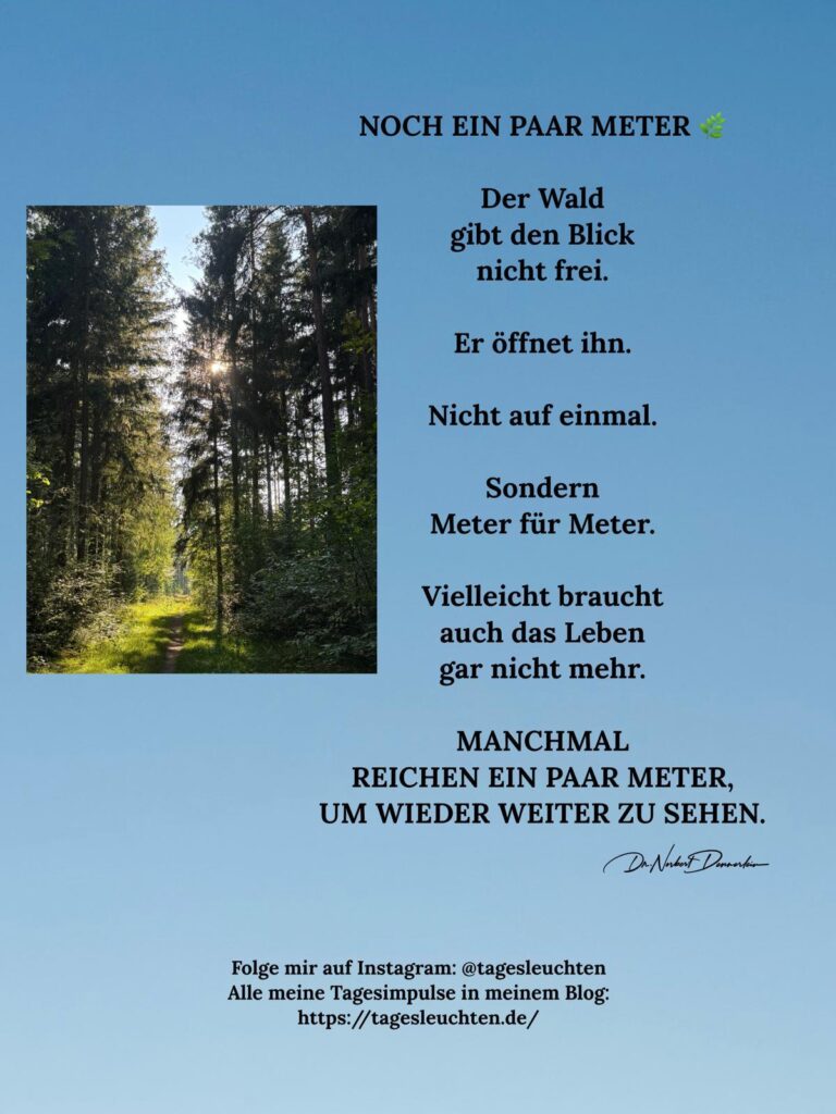Dr. Norbert Dennerlein: NOCH EIN PAAR METER. Der Wald gibt den Blick nicht frei