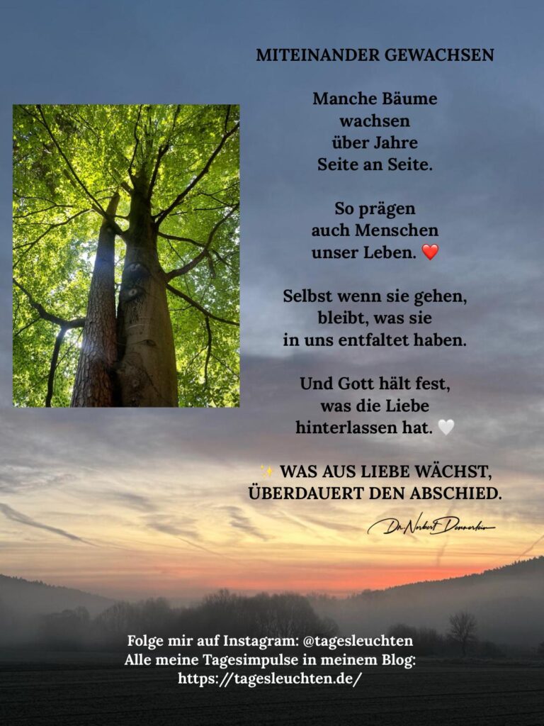 Dr. Norbert Dennerlein: MITEINANDER GEWACHSEN. Manche Bäume wachsen über Jahre Seite an Seite