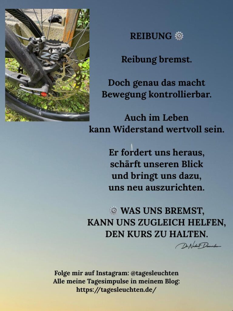 Dr. Norbert Dennerlein: REIBUNG. Reibung bremst. Doch genau das macht Bewegung kontrollierbar