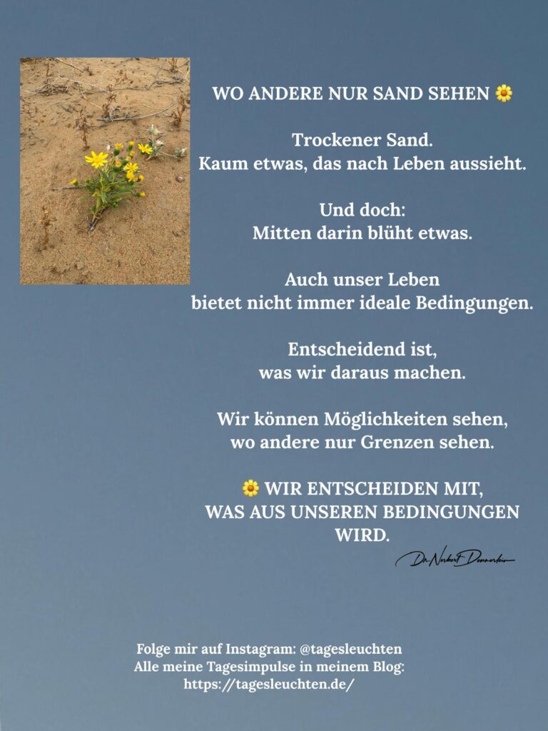 Dr. Norbert Dennerlein: WO ANDERE NUR SAND SEHEN. Trockener Sand. Kaum etwas, das nach Leben aussieht