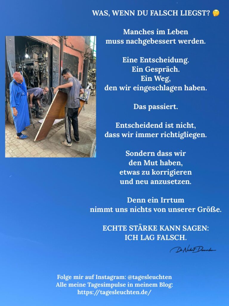 Dr. Norbert Dennerlein: WAS, WENN DU FALSCH LIEGST? Manches im Leben muss nachgebessert werden