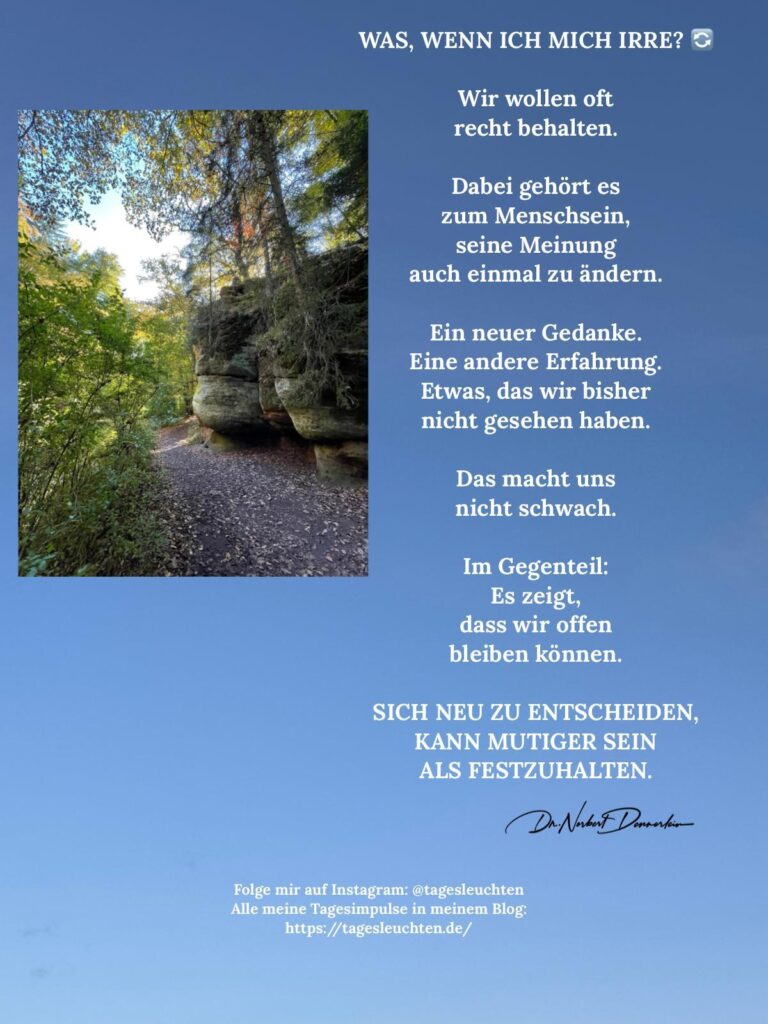 Dr. Norbert Dennerlein: WAS, WENN ICH MICH IRRE? Wir wollen oft recht behalten