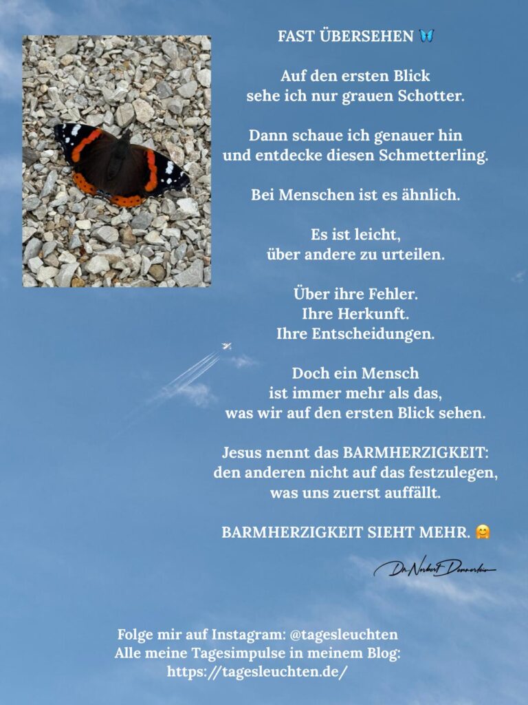 Dr. Norbert Dennerlein: FAST ÜBERSEHEN. Auf dein ersten Blick sehe ich nur grauen Schotter