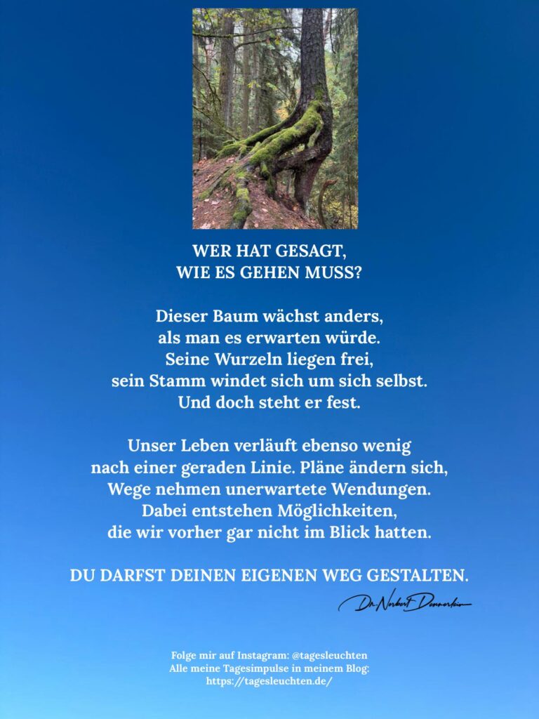 Dr. Norbert Dennerlein: WER HAT GESAGT, WIE ES GEHEN MUSS? Dieser Baum wächst anders, als man es erwarten würde