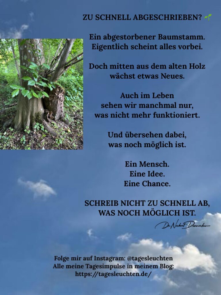 Dr. Norbert Dennerlein: ZU SCHNELL ABGESCHRIEBEN? Ein abgestorbener Baumstamm