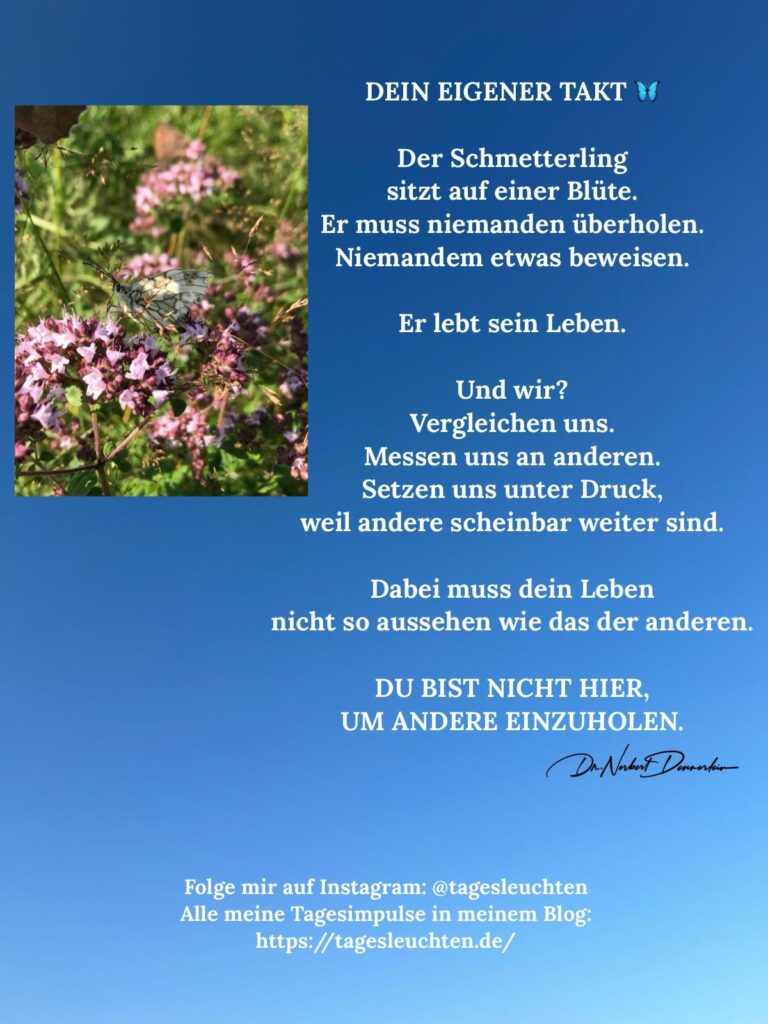 Dr. Norbert Dennerlein: DEIN EIGENER TAKT. Der Schmetterling sitzt auf einer Blüte