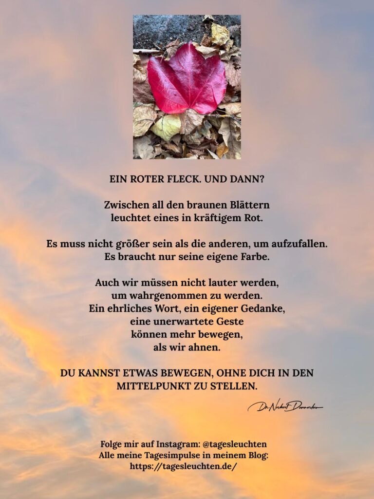 Dr. Norbert Dennerlein: EIN ROTER FLECK. UND DANN? Zwischen all den braunen Blättern leuchtet eines im kräftigem Rot