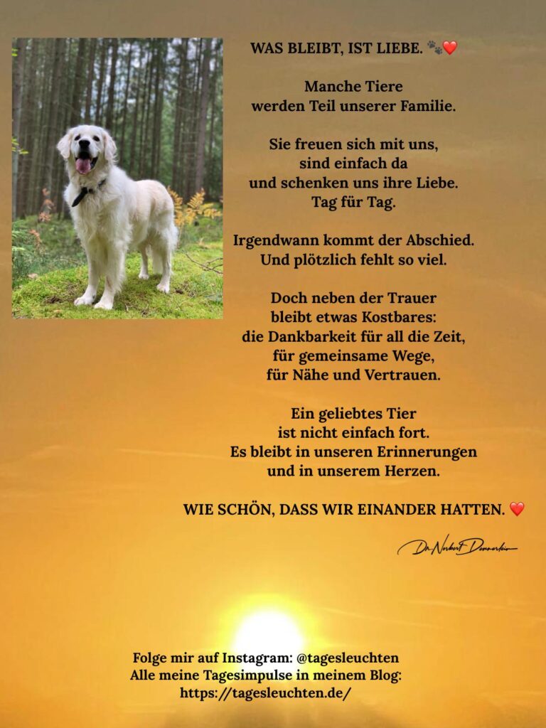 Dr. Norbert Dennerlein: WAS BLEIBT, IST LIEBE. Manche Tiere werden Teil unserer Familie