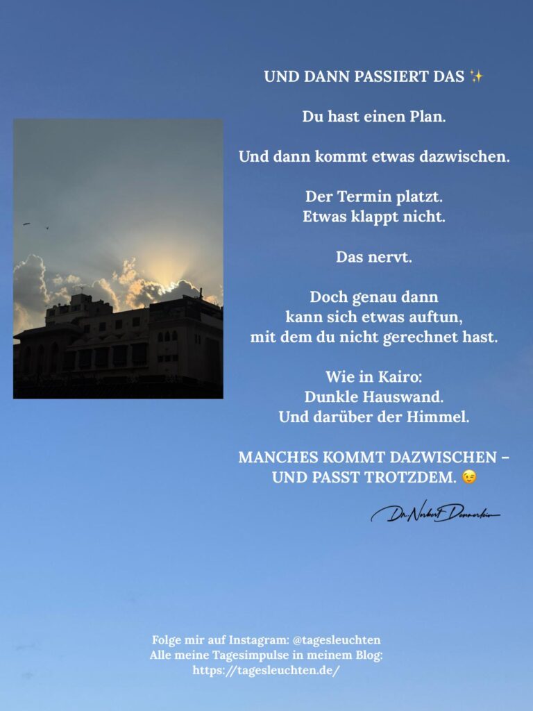 Dr. Norbert Dennerlein: UND DANN PASSIERT DAS. Du hast einen Plan
